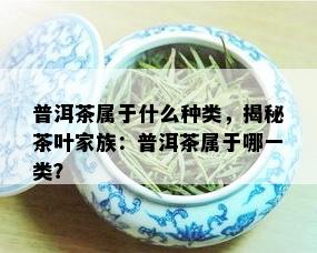 普洱茶属于什么种类，揭秘茶叶家族：普洱茶属于哪一类？