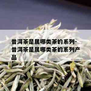 普洱茶是属哪类茶的系列-普洱茶是属哪类茶的系列产品