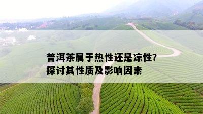 普洱茶属于热性还是凉性？探讨其性质及影响因素