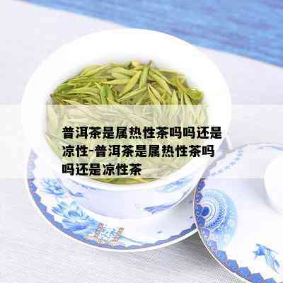 普洱茶是属热性茶吗吗还是凉性-普洱茶是属热性茶吗吗还是凉性茶