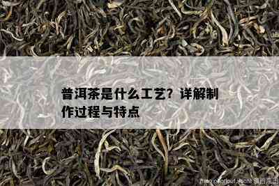 普洱茶是什么工艺？详解制作过程与特点