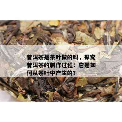 普洱茶是茶叶做的吗，探究普洱茶的制作过程：它是如何从茶叶中产生的？