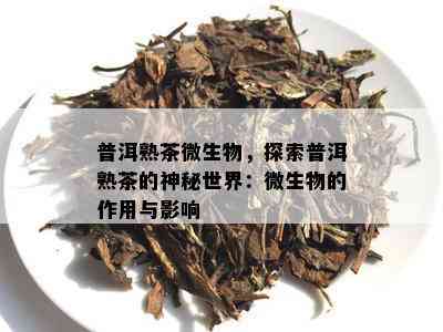 普洱熟茶微生物，探索普洱熟茶的神秘世界：微生物的作用与影响