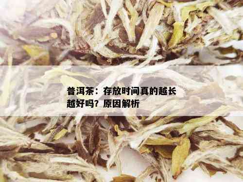 普洱茶：存放时间真的越长越好吗？原因解析