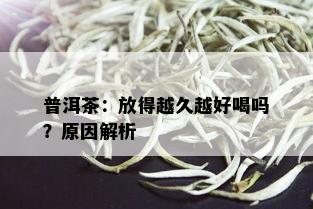 普洱茶：放得越久越好喝吗？原因解析