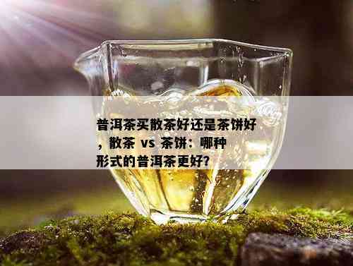 普洱茶买散茶好还是茶饼好，散茶 vs 茶饼：哪种形式的普洱茶更好？