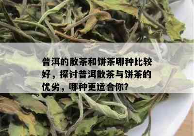 普洱的散茶和饼茶哪种比较好，探讨普洱散茶与饼茶的优劣，哪种更适合你？