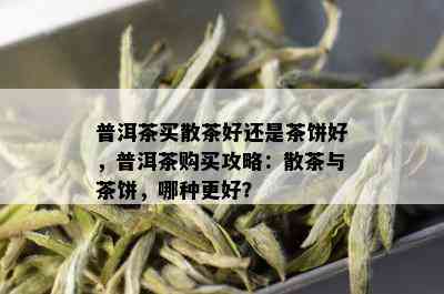 普洱茶买散茶好还是茶饼好，普洱茶购买攻略：散茶与茶饼，哪种更好？