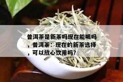 普洱茶是新茶吗现在能喝吗，普洱茶：现在的新茶选择，可以放心饮用吗？