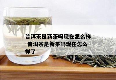 普洱茶是新茶吗现在怎么样-普洱茶是新茶吗现在怎么样了