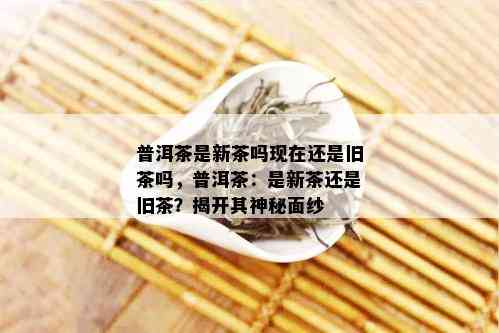 普洱茶是新茶吗现在还是旧茶吗，普洱茶：是新茶还是旧茶？揭开其神秘面纱