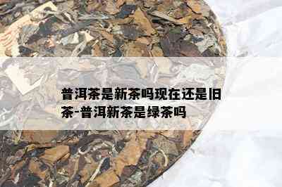 普洱茶是新茶吗现在还是旧茶-普洱新茶是绿茶吗