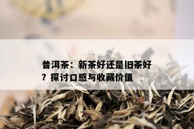 普洱茶：新茶好还是旧茶好？探讨口感与收藏价值