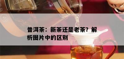 普洱茶：新茶还是老茶？解析图片中的区别