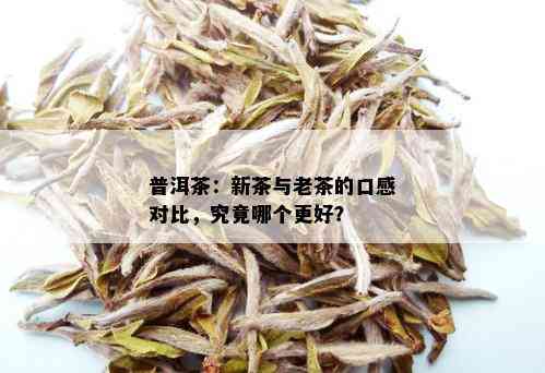 普洱茶：新茶与老茶的口感对比，究竟哪个更好？