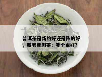 普洱茶是新的好还是陈的好，新老普洱茶：哪个更好？