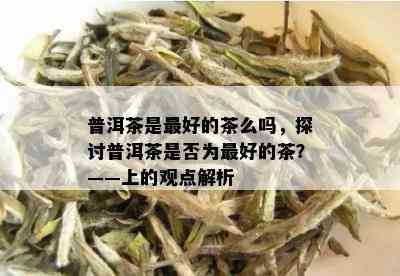 普洱茶是更好的茶么吗，探讨普洱茶是否为更好的茶？——上的观点解析