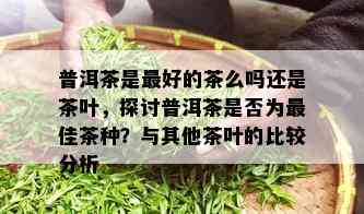 普洱茶是更好的茶么吗还是茶叶，探讨普洱茶是否为更佳茶种？与其他茶叶的比较分析