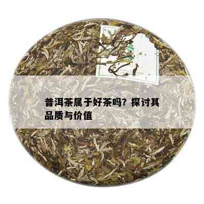 普洱茶属于好茶吗？探讨其品质与价值