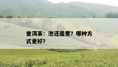 普洱茶：泡还是煮？哪种方式更好？