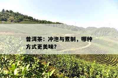 普洱茶：冲泡与煮制，哪种方式更美味?