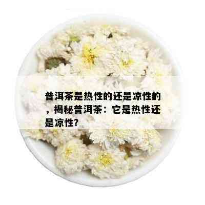 普洱茶是热性的还是凉性的，揭秘普洱茶：它是热性还是凉性？