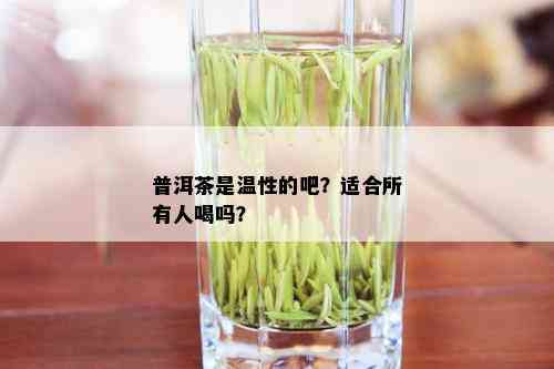 普洱茶是温性的吧？适合所有人喝吗？