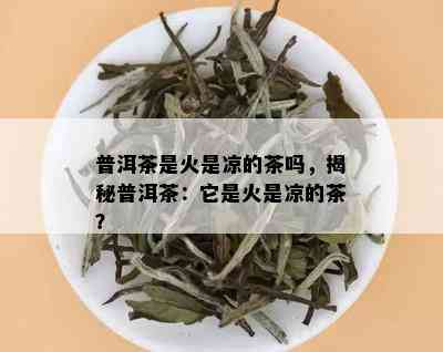 普洱茶是火是凉的茶吗，揭秘普洱茶：它是火是凉的茶？