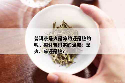 普洱茶是火是凉的还是热的呢，探讨普洱茶的温度：是火、凉还是热？