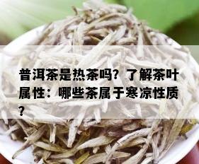 普洱茶是热茶吗？了解茶叶属性：哪些茶属于寒凉性质？