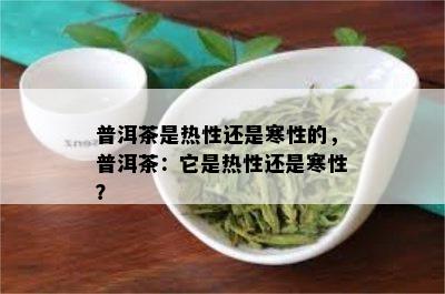 普洱茶是热性还是寒性的，普洱茶：它是热性还是寒性？