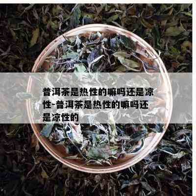 普洱茶是热性的嘛吗还是凉性-普洱茶是热性的嘛吗还是凉性的