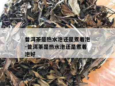 普洱茶是热水泡还是煮着泡-普洱茶是热水泡还是煮着泡好