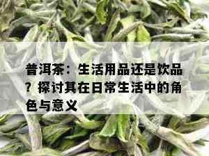 普洱茶：生活用品还是饮品？探讨其在日常生活中的角色与意义