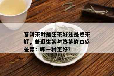 普洱茶叶是生茶好还是熟茶好，普洱生茶与熟茶的口感差异：哪一种更好？