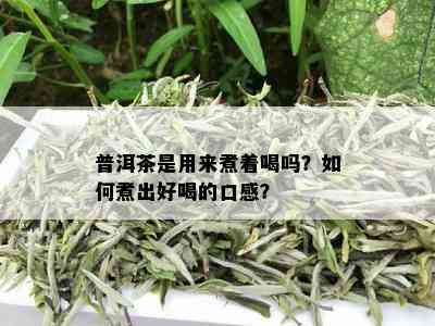 普洱茶是用来煮着喝吗？如何煮出好喝的口感？