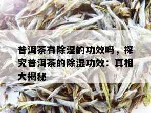 普洱茶有除湿的功效吗，探究普洱茶的除湿功效：真相大揭秘