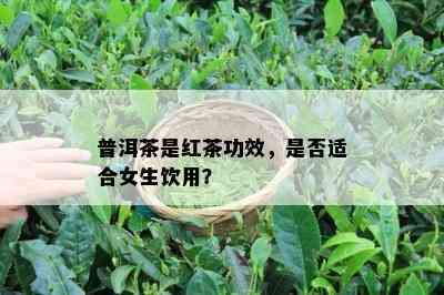 普洱茶是红茶功效，是否适合女生饮用？