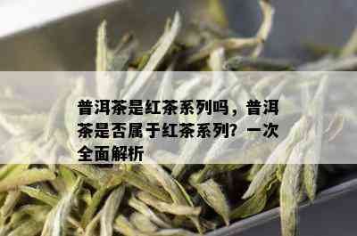 普洱茶是红茶系列吗，普洱茶是否属于红茶系列？一次全面解析