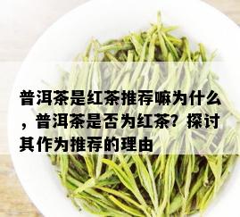 普洱茶是红茶推荐嘛为什么，普洱茶是否为红茶？探讨其作为推荐的理由