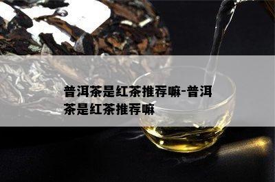 普洱茶是红茶推荐嘛-普洱茶是红茶推荐嘛