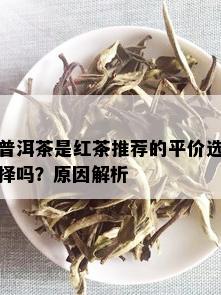 普洱茶是红茶推荐的平价选择吗？原因解析