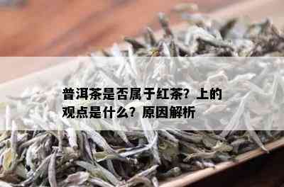 普洱茶是否属于红茶？上的观点是什么？原因解析