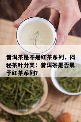 普洱茶是不是红茶系列，揭秘茶叶分类：普洱茶是否属于红茶系列？