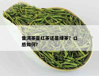 普洱茶是红茶还是绿茶？口感如何？