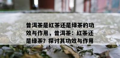 普洱茶是红茶还是绿茶的功效与作用，普洱茶：红茶还是绿茶？探讨其功效与作用