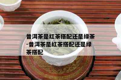 普洱茶是红茶搭配还是绿茶-普洱茶是红茶搭配还是绿茶搭配