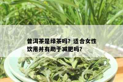 普洱茶是绿茶吗？适合女性饮用并有助于减肥吗？