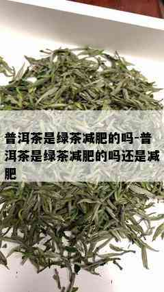 普洱茶是绿茶减肥的吗-普洱茶是绿茶减肥的吗还是减肥