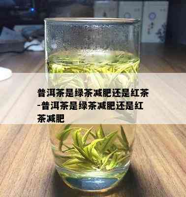 普洱茶是绿茶减肥还是红茶-普洱茶是绿茶减肥还是红茶减肥